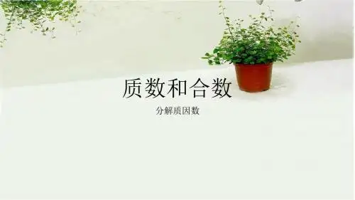 质数和合数