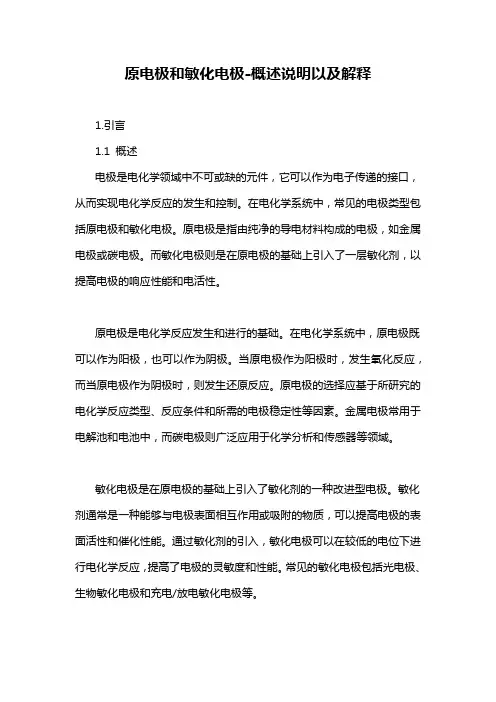 原电极和敏化电极-概述说明以及解释