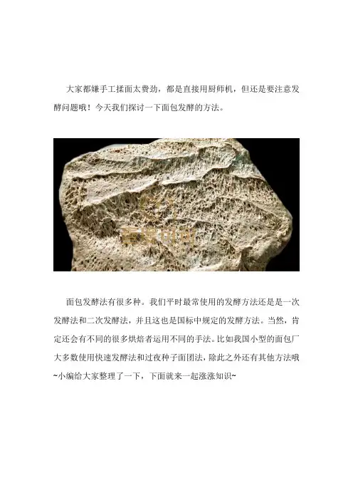 面包发酵方法总结：常用的十大发酵法