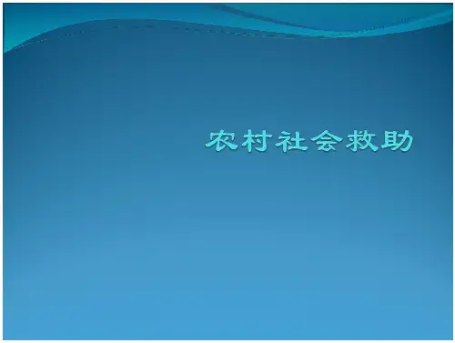 农村社会救助-