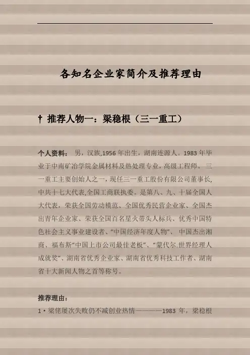 湖南创业人物