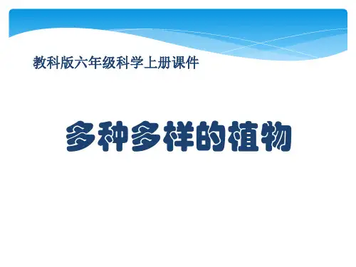教科版六年级科学上册 (多种多样的植物)生物的多样性新课件
