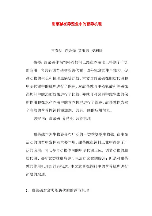 甜菜碱在养殖业中的营养机理