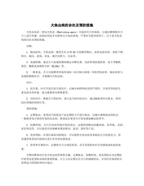 犬焦虫病的诊治及预防措施