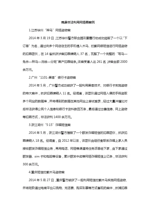 魏县非法利用网络罪案例