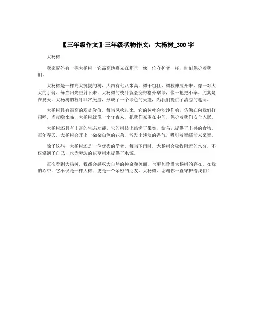 【三年级作文】三年级状物作文：大杨树_300字