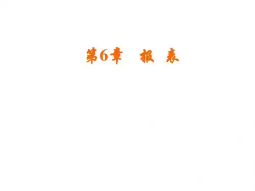 ACcess 报表