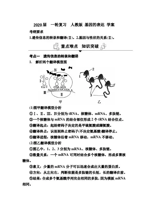2020届  一轮复习  人教版 基因的表达 学案