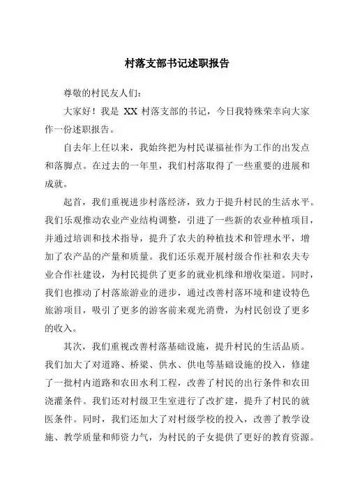 村落支部书记述职报告
