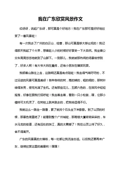 我在广东欣赏风景作文