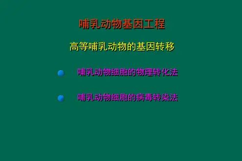 高等哺乳动物的基因转移