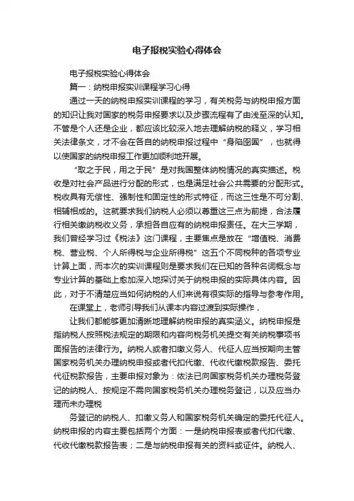 电子报税实验心得体会