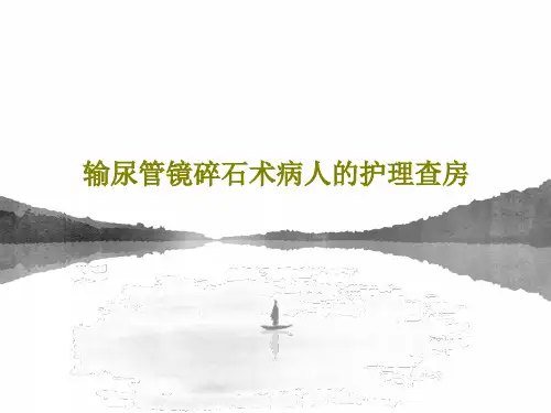 输尿管镜碎石术病人的护理查房共29页