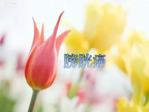 膀胱肾脏输尿管膀胱癌致病原因-PeacefulMind