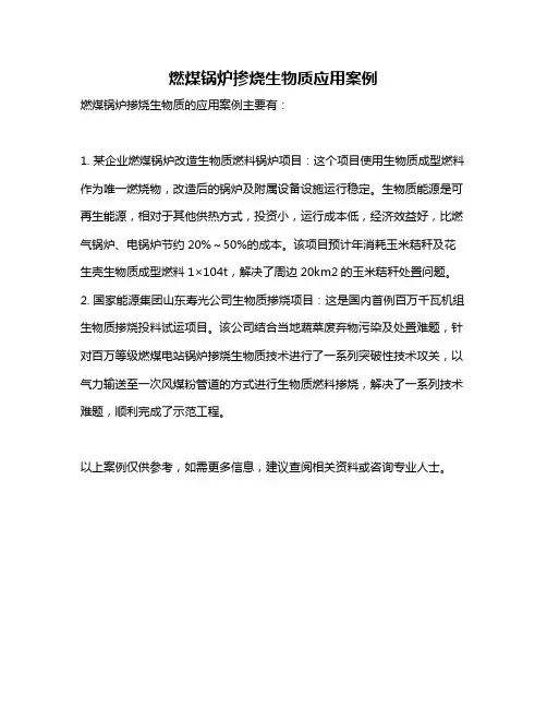 燃煤锅炉掺烧生物质应用案例