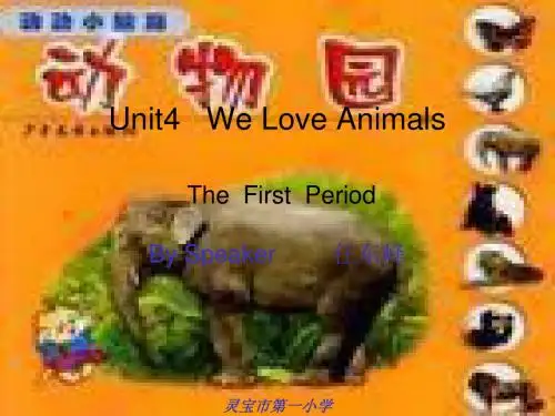 三年级英语We-Love-Animals课件2(新编教材)