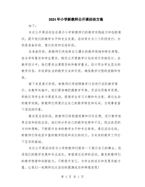 2024年小学新教师公开课活动方案
