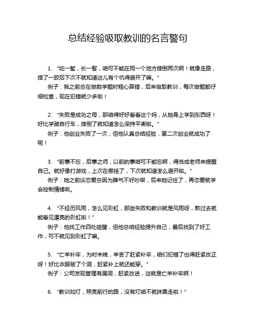 总结经验吸取教训的名言警句