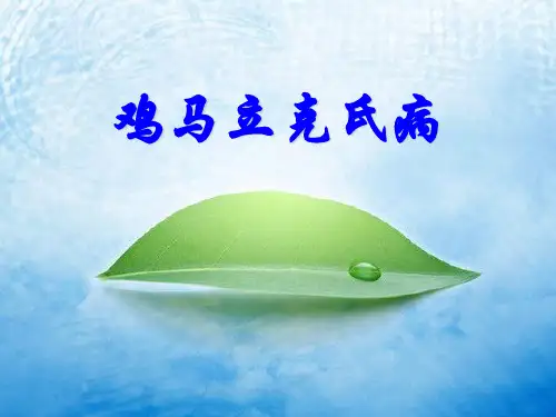 鸡马立克氏病