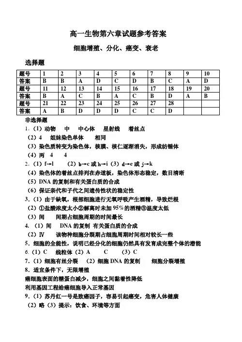高一生物第六章试题参考答案