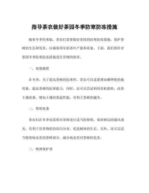 指导茶农做好茶园冬季防寒防冻措施