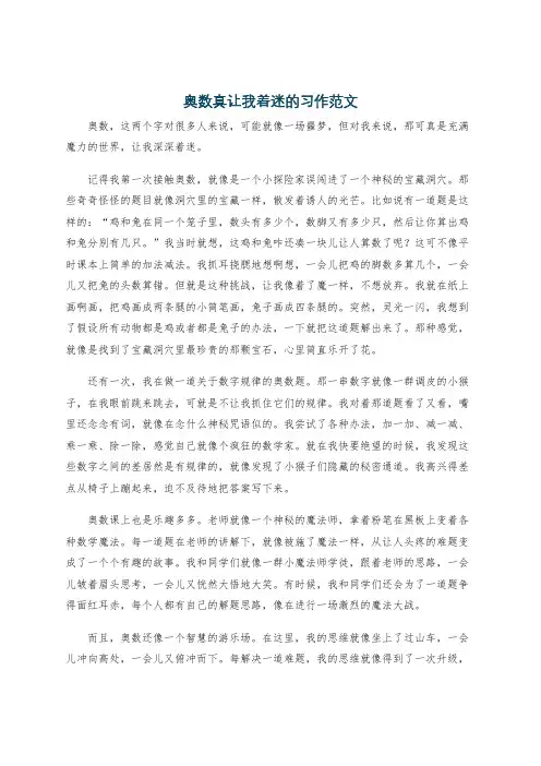 奥数真让我着迷的习作范文