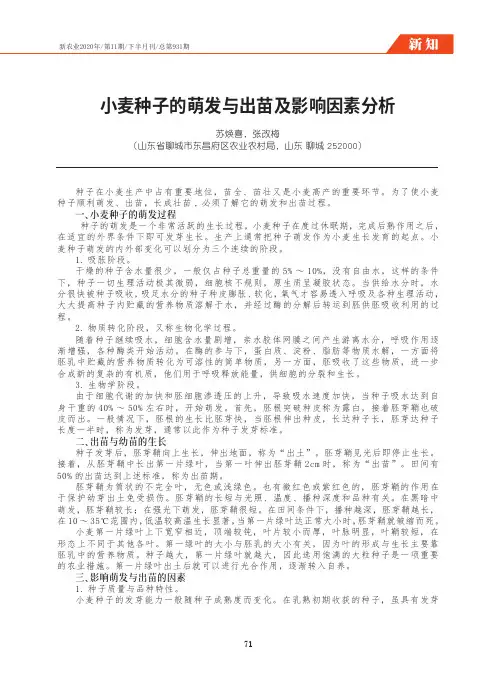 小麦种子的萌发与出苗及影响因素分析