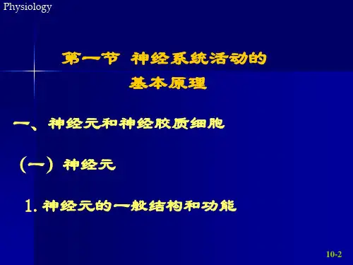 生理课件--第十章神经系统的功能(2009)幻灯片