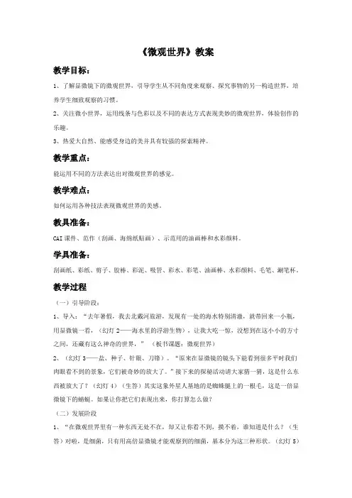 美术《微观世界》教案