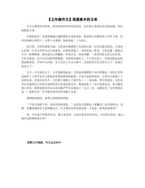 【五年级作文】我爱家乡的玉米