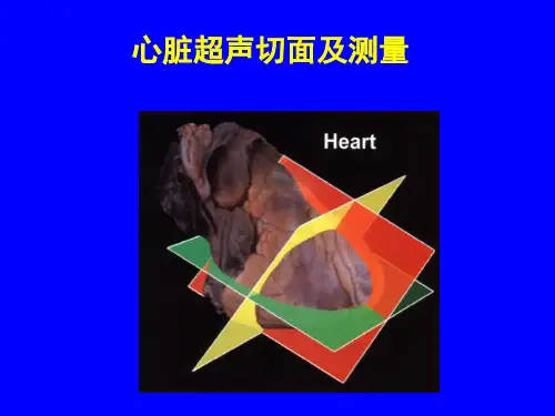 心脏超声标准切面及测量