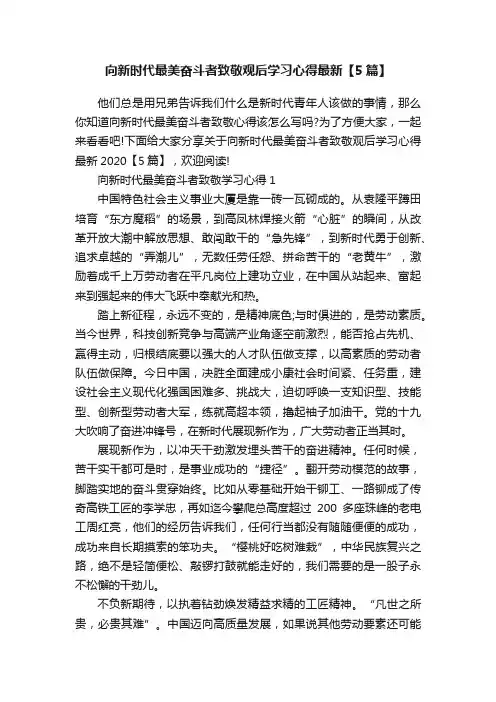 向新时代最美奋斗者致敬观后学习心得最新【5篇】