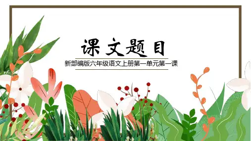 精品优质公开课课件模板