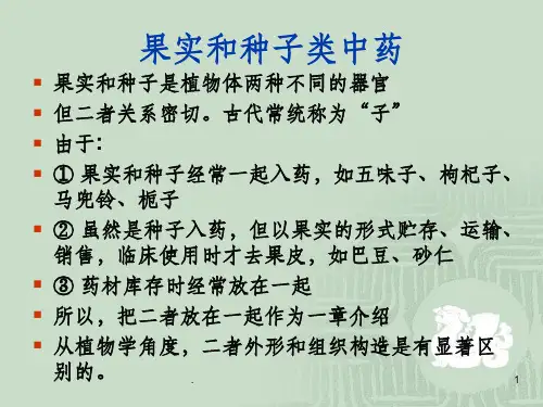 果实和种子类中药