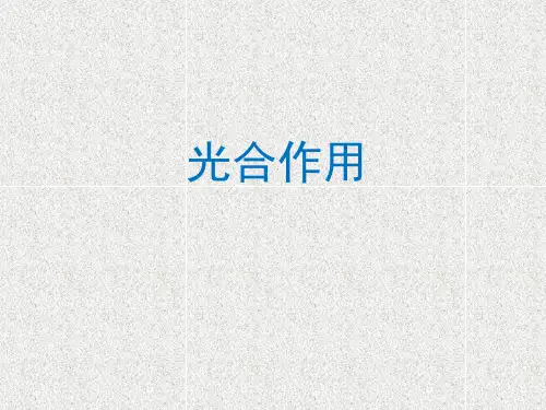 生物化学-光合作用