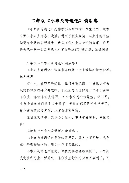 二年级《小布头奇遇记》读后感