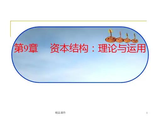 资本结构理论与运用PPT课件