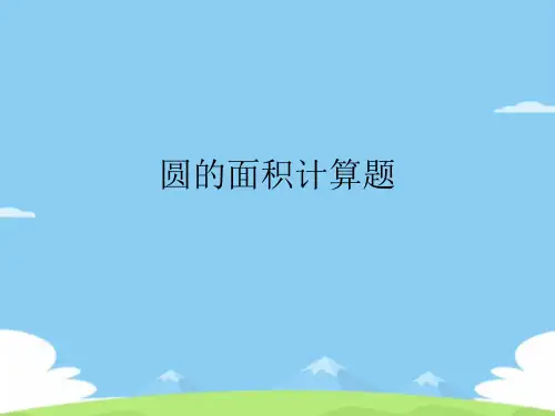 圆的面积计算题