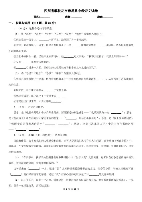 四川省攀枝花市米易县中考语文试卷