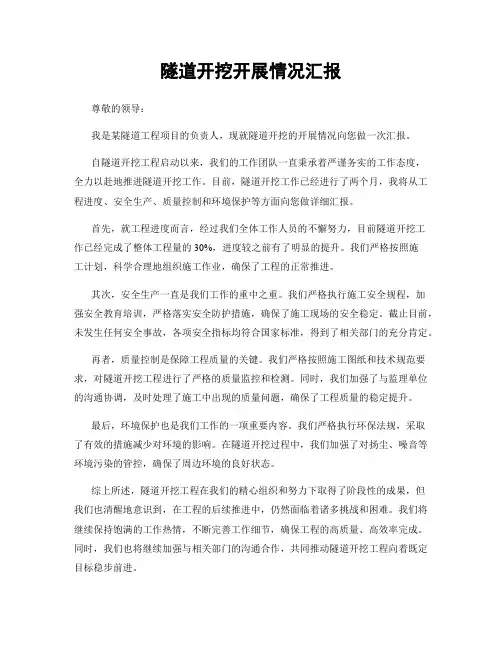 隧道开挖开展情况汇报