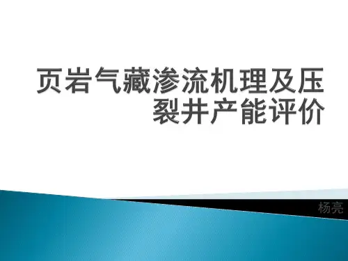 页岩气藏渗流机理及压裂井产能评价