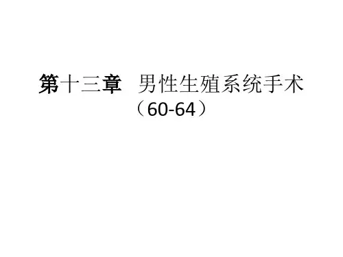 ICD-9第13章：男性生殖系统手术