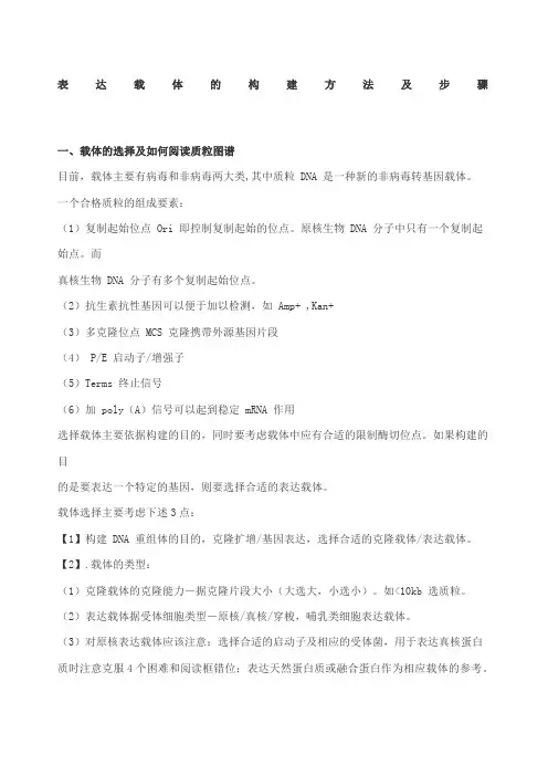 表达载体的构建方法及步骤