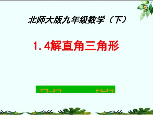 北师大版九年级数学下册 解直角三角形 经典课件