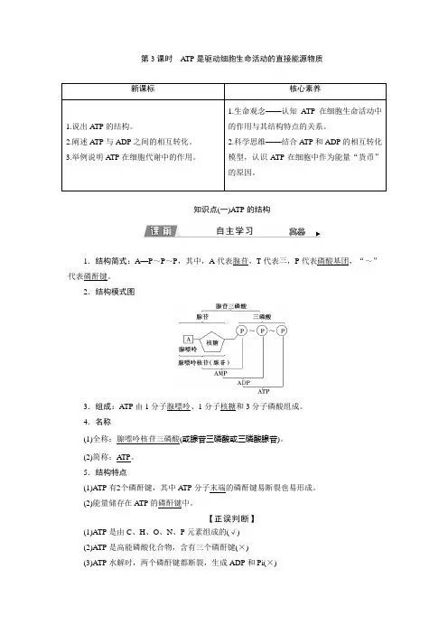  苏教版 必修1 ATP是驱动细胞生命活动的直接能源物质 教案