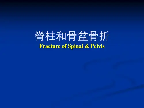 脊柱和骨盆骨折的临床表现、诊断与治疗