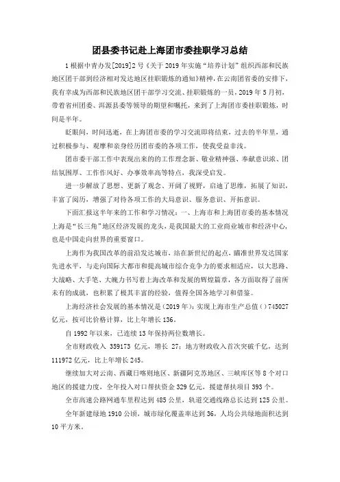 最新-团县委书记赴上海团市委挂职学习总结 精品