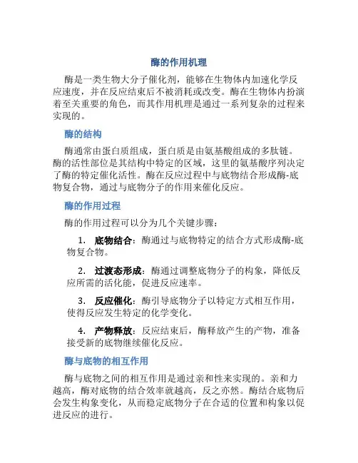 酶的作用机理