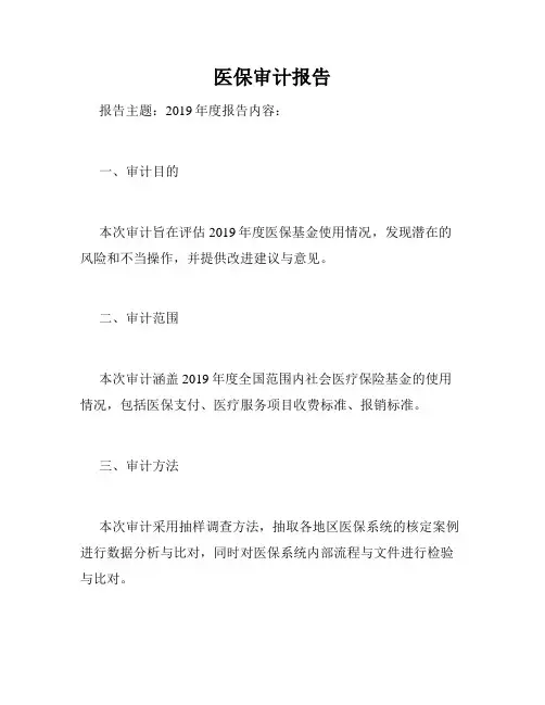 医保审计报告