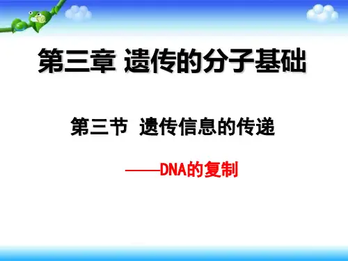 浙科版高中生物必修二第三章第三节遗传信息的传递——DNA的复制 课件 (共34张PPT)
